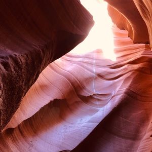 Meet your Posher, Deana